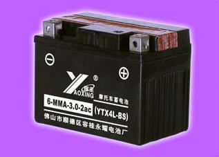 c鿴ҫ늳،I(y)޹˾ ͣͣ 6-MMA-3.0-2ac (YTX4L-BS)ԔY